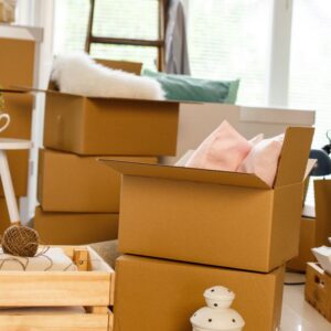 ونش نقل عفش العاصمة الإدارية