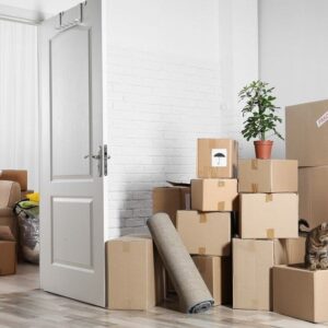 نقل وتغليف أثاث الواحة